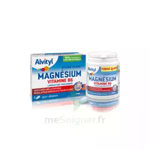 Acheter Alvityl Magnésium Vitamine B6 Libération Prolongée Comprimés LP B/45 à Les Sables-d'Olonne